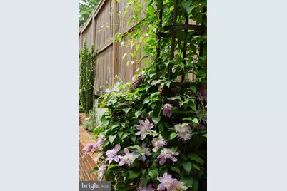 1755 Upshur Street NW, Washington, DC 20011 - Photo 69