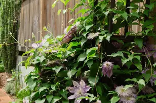 1755 Upshur St NW, Washington, DC 20011 - Photo 69