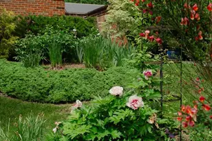 1755 Upshur St NW, Washington, DC 20011 - Photo 73