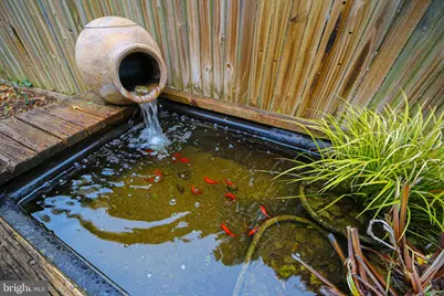 2849 29th Street NW, Washington, DC 20008 - Photo 35