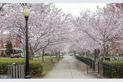 215 15th Street NE, Washington, DC 20002 - Photo 43