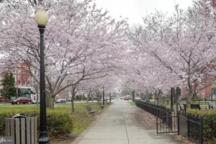 215 15th St NE, Washington, DC 20002 - Photo 43