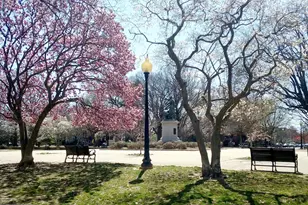 115 6th St SE, Washington, DC 20003 - Photo 37