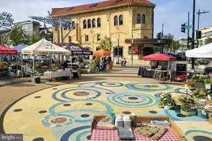 1337 Harvard St NW, Washington, DC 20009 - Photo 21