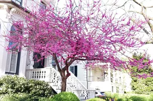 2500 Q St NW, Washington, DC 20007 - Photo 39