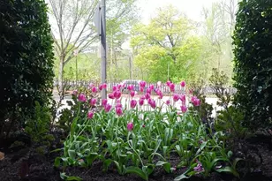 2500 Q St NW, Washington, DC 20007 - Photo 33