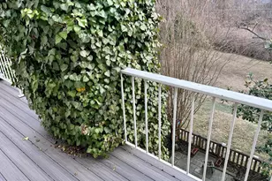 4416 Lingan Rd NW, Washington, DC 20007 - Photo 43