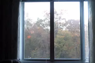 2939 Van Ness St NW, Washington, DC 20008 - Photo 11