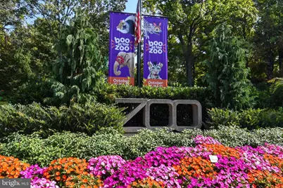 1794 Lanier Place NW #306, Washington, DC 20009 - Photo 33