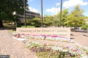 3041 Sedgwick St NW, Washington, DC 20008 - Photo 41