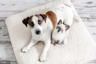 3334 10th Pl SE, Washington, DC 20032 - Photo 39