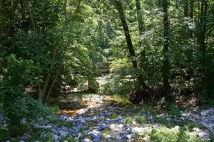 2712 Unicorn Ln NW, Washington, DC 20015 - Photo 51