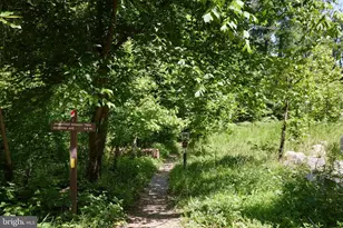 2712 Unicorn Ln NW, Washington, DC 20015 - Photo 49