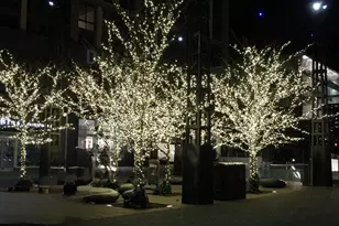 700 7th St SW, Washington, DC 20024 - Photo 37