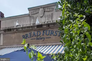 4514 Connecticut Ave NW, Washington, DC 20008 - Photo 39