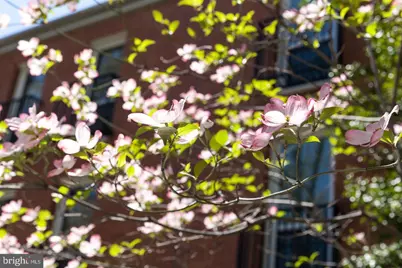 88 V Street SW #201, Washington, DC 20024 - Photo 69