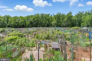 4000 Tunlaw Rd NW, Washington, DC 20007 - Photo 21