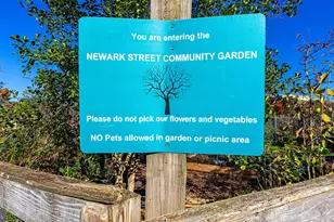 3400 39th St NW, Washington, DC 20016 - Photo 41