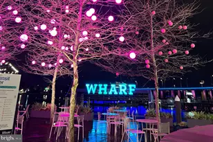 1101 3rd St SW, Washington, DC 20024 - Photo 39