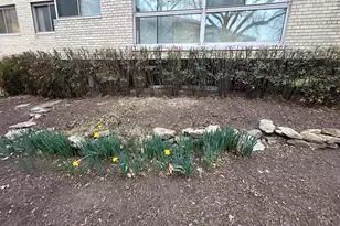 922 24th St NW, Washington, DC 20037 - Photo 49