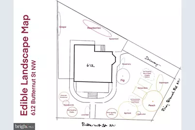 612 Butternut Street NW, Washington, DC 20012 - Photo 47