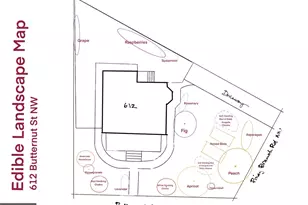 612 Butternut St NW, Washington, DC 20012 - Photo 47