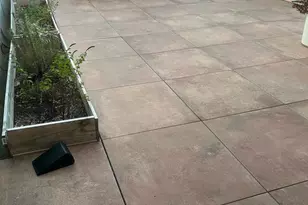 245 15th St SE, Washington, DC 20003 - Photo 19