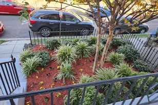 1530 Spring Pl NW, Washington, DC 20010 - Photo 3