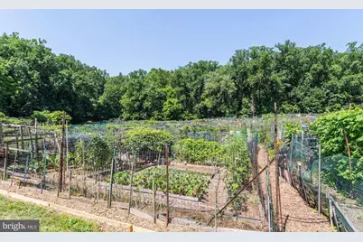 3900 Tunlaw Road NW #103, Washington, DC 20007 - Photo 35