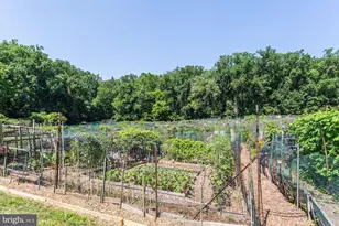 3900 Tunlaw Rd NW, Washington, DC 20007 - Photo 35