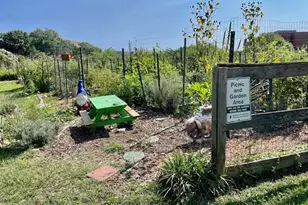 3720 39th St NW, Washington, DC 20016 - Photo 39