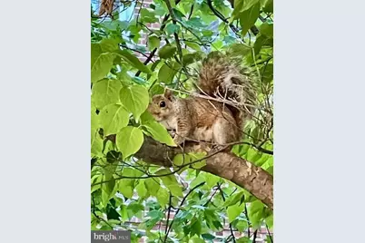 3720 39th Street NW #D166, Washington, DC 20016 - Photo 35