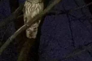 3720 39th St NW, Washington, DC 20016 - Photo 31