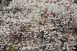 1420 Q St NW, Washington, DC 20009 - Photo 71