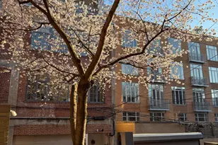 1420 Q St NW, Washington, DC 20009 - Photo 69