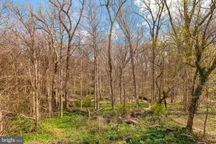 2333 Nebraska Ave NW, Washington, DC 20016 - Photo 41