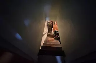 1479 Morris Rd SE, Washington, DC 20020 - Photo 13