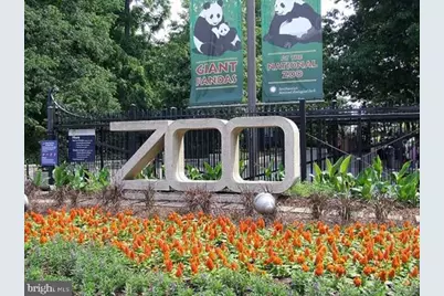 1645 Park Road NW #2, Washington, DC 20010 - Photo 19