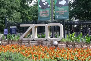 1645 Park Rd NW, Washington, DC 20010 - Photo 19