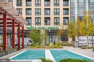 729 Roxboro Pl NW, Washington, DC 20011 - Photo 19