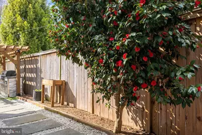 3605 Van Ness Street NW, Washington, DC 20008 - Photo 69