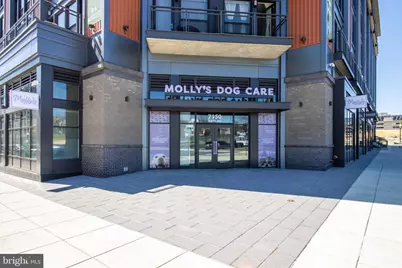 7175 12th Street NW #302, Washington, DC 20012 - Photo 57