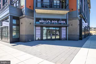 7175 12th St NW, Washington, DC 20012 - Photo 57