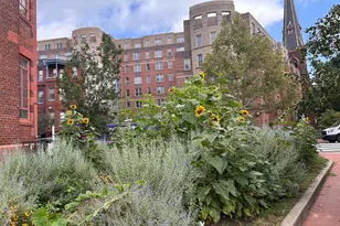 1239 Vermont Ave NW, Washington, DC 20005 - Photo 31