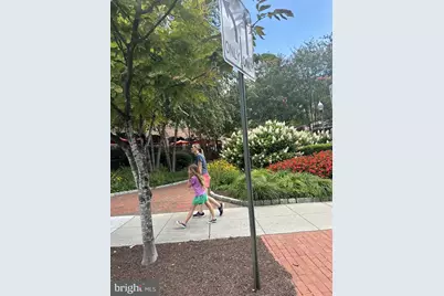 3101 New Mexico Avenue NW #554, Washington, DC 20016 - Photo 3