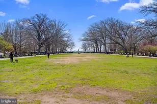 1439 Chapin St NW, Washington, DC 20009 - Photo 17