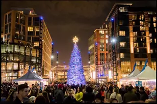 1525 1st St SW, Washington, DC 20024 - Photo 41