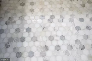 2707 Adams Mill Rd NW, Washington, DC 20009 - Photo 17