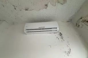 3340 Croffut Pl SE, Washington, DC 20019 - Photo 27