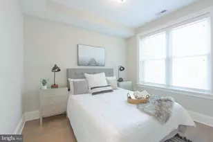 3921 Fulton St NW, Washington, DC 20007 - Photo 13